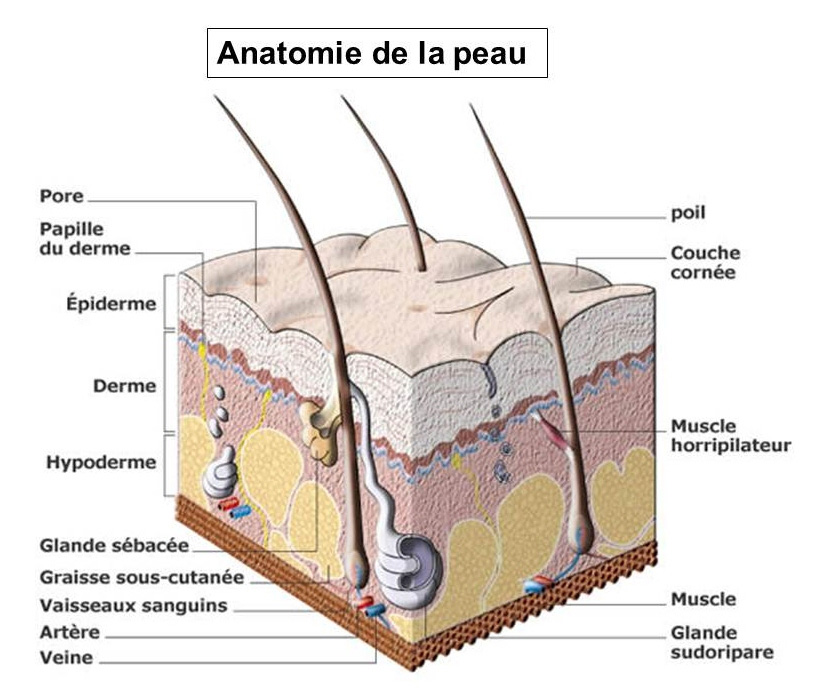 Blanchir les taches de pigment la crème